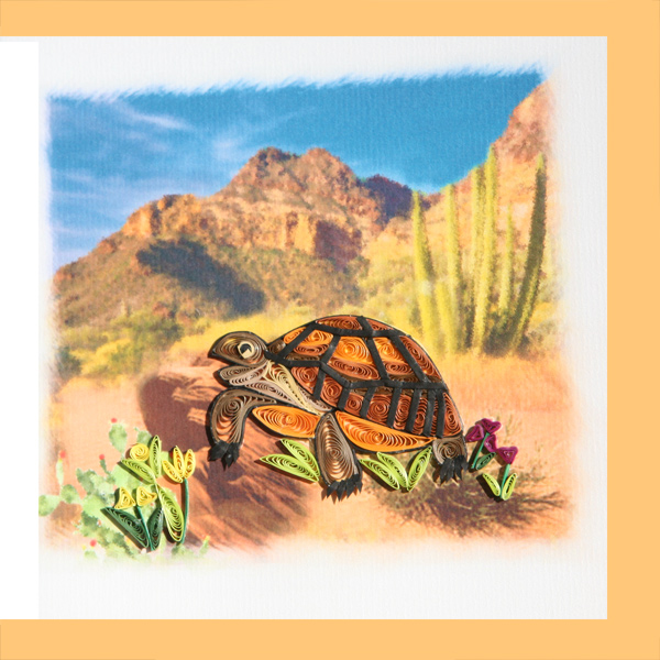 desert turtle