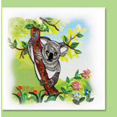 koala bear