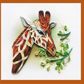 giraffe
