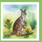 Kangaroo