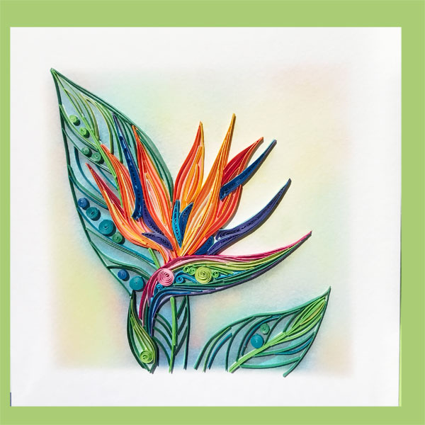 Yoderdo Quilling Cards