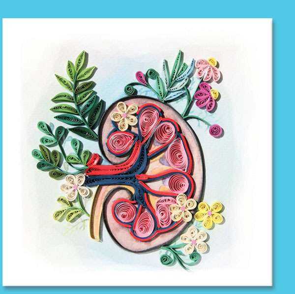 kidney